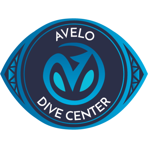 Avelo Class Deposit for Priority Booking