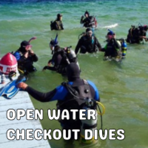 Class #26-1004 Deposit, Class Date 10/31/26