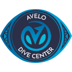 Avelo Class Deposit for Priority Booking