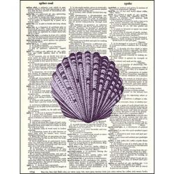 Purple Seashell Dictionary Print