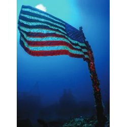 01 NAUI Basic Level Scuba Certification