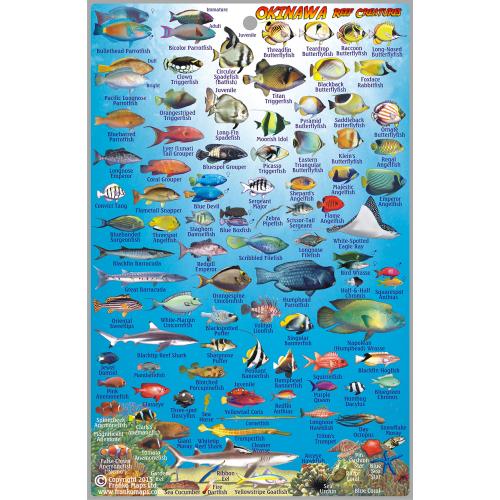 Fish ID Card - Okinawa