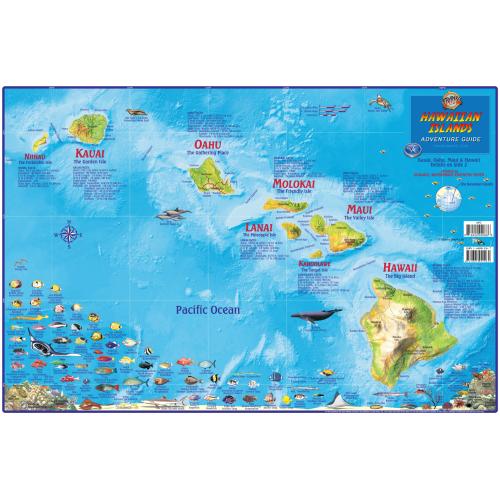 Fish ID Card - Hawaiian Islands