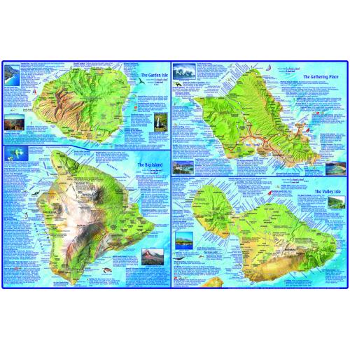 Fish ID Card - Hawaiian Islands