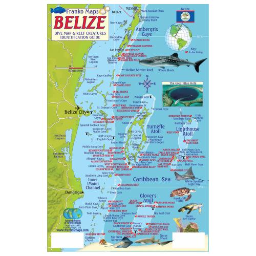 Fish ID Card - Belize