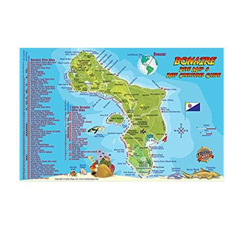 Fish ID Card - Bonaire