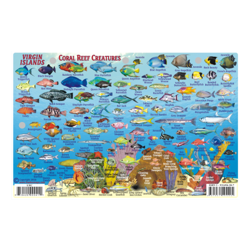 Fish ID Card - Virgin Islands