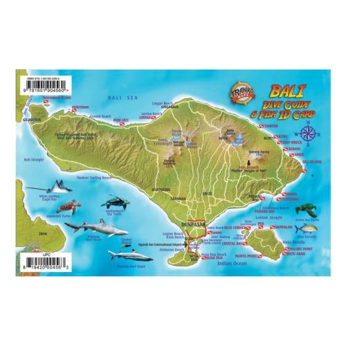 Fish ID Card - Bali