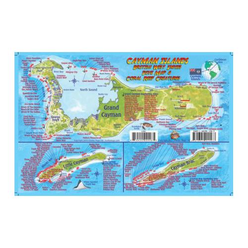 Fish ID Card - Cayman Islands