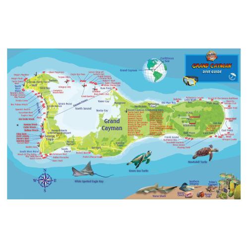Fish ID Card - Grand Cayman