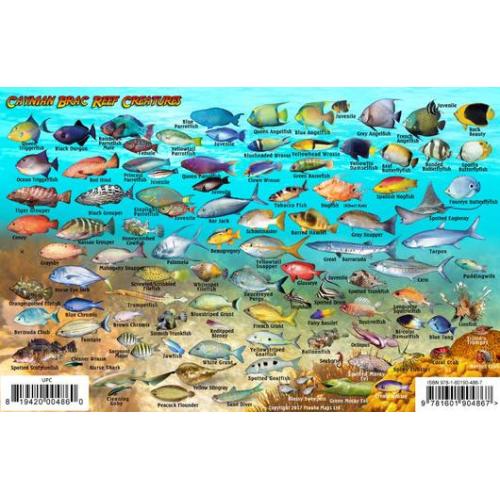 Fish ID Card - Cayman Brac