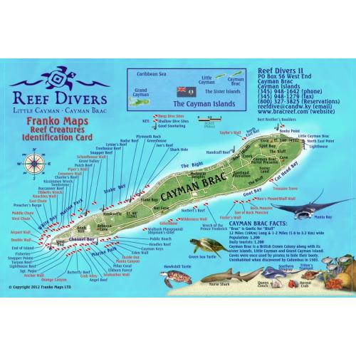 Fish ID Card - Cayman Brac