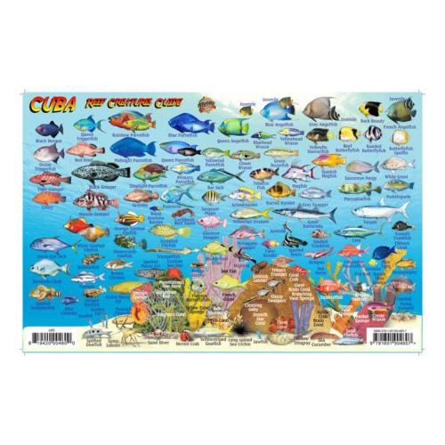 Fish ID Card - Cuba
