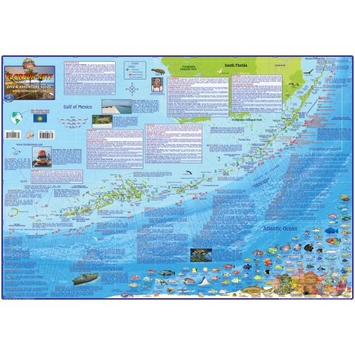 Fish ID Card - Florida Keys
