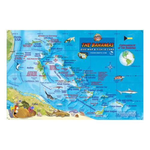 Fish ID Card - Bahamas