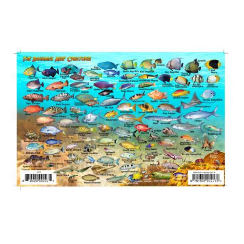 Fish ID Card - Bahamas
