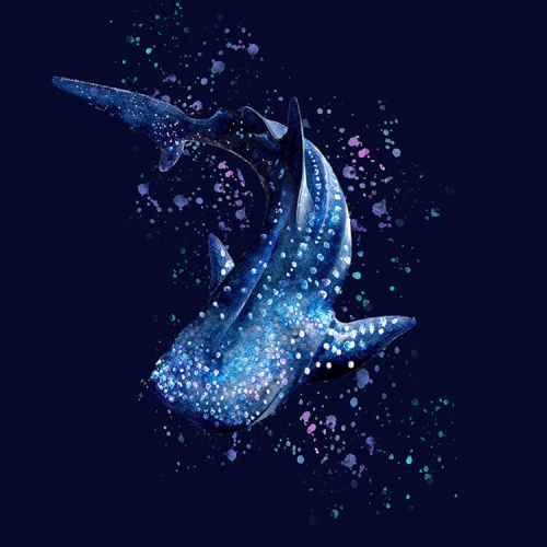 Spacefish Army Plus Size Whaleshark Wonderland Rashguard