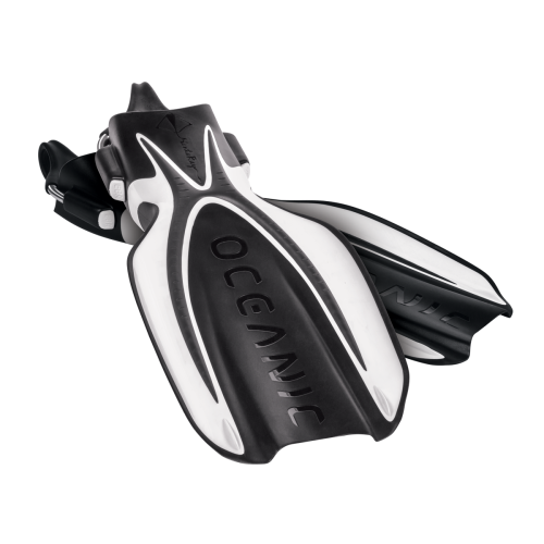 Oceanic Manta Ray