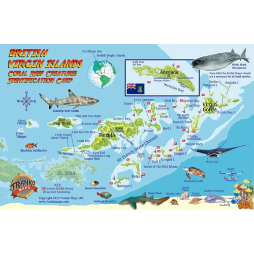 Fish ID Card - British Virgin Islands