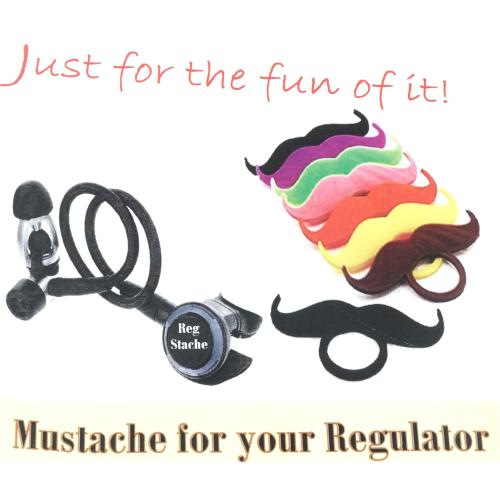 Reg Stache
