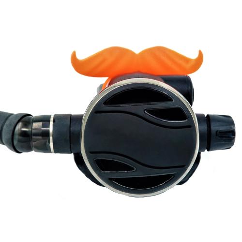 Reg Stache