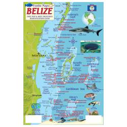 Fish ID Card - Belize