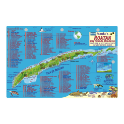 Fish ID Card - Roatan