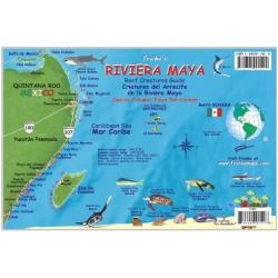 Fish ID Card - Riviera Maya