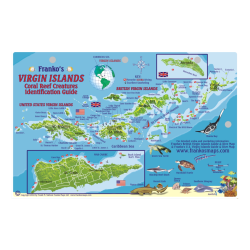 Fish ID Card - Virgin Islands