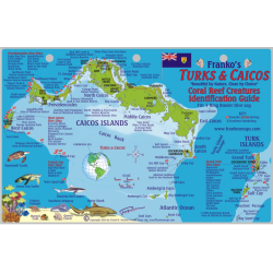 Fish ID Card - Turks & Caicos