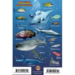 Mini Fish ID Card - Maldives