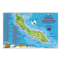 Fish ID Card - Curacao