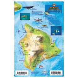 Fish ID Card - Hawaii Big Island