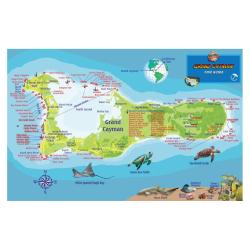 Fish ID Card - Grand Cayman