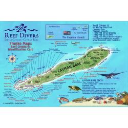 Fish ID Card - Cayman Brac