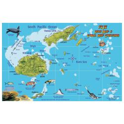 Fish ID Card - Fiji