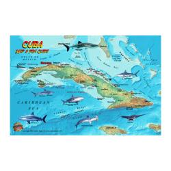 Fish ID Card - Cuba