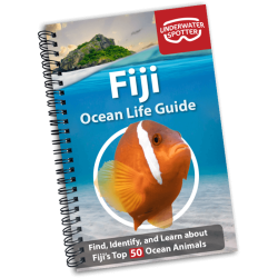Ocean Live Guide - Fiji