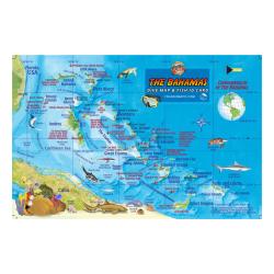 Fish ID Card - Bahamas