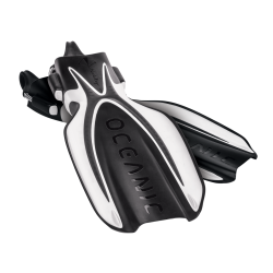 Oceanic Manta Ray