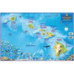 Fish ID Card - Hawaiian Islands