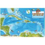 Fish ID Card - Caribbean Sea