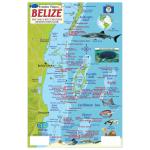 Fish ID Card - Belize