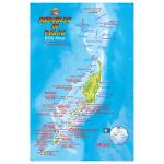 Fish ID Card - Palau