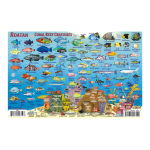 Fish ID Card - Roatan