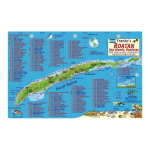 Fish ID Card - Roatan