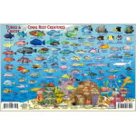 Fish ID Card - Turks & Caicos
