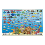 Fish ID Card - Curacao