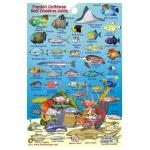 Fish ID Card - Caribbean Sharks & Rays