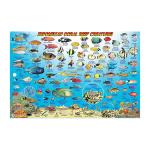 Fish ID Card - Bali